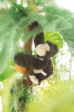 Nici 41697 Gorilla Torben Sitzend Ca 30cm Mit Trommelbrust Plüsch In Geschenkbox -Nici 41697 03 Millieu 1365x2048