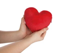 Nici 44427 Love Bär Schwester Rosa Wendeplüsch Bär In Herzkissen Ca 20cm -Nici 44427 07 ZA Frei 2048x1741