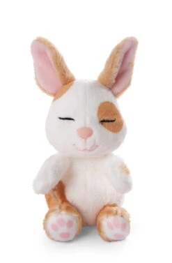 Nici 48707 Sleeping Pets Bunnies Hase Karamell Punkte 12cm Schlafend Im Körbchen -Nici 48707 04 ZA Frei 1341x2048