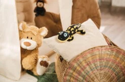 Nici 48780 Salamander Don Fuego Ca 25cm Plüsch Kuscheltier GREEN Classic Bear 5 Nici 48780 Salamander Don Fuego Ca 25cm Plüsch Kuscheltier GREEN Classic Bear -Nici 48775 14 48782 Milieu 2048x1342