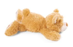 Nici 48783 Bär Mielo Ca 50cm Liegend Plüsch Kuscheltier GREEN Classic Bear 2 Nici 48783 Bär Mielo Ca 50cm Liegend Plüsch Kuscheltier GREEN Classic Bear -Nici 48777 03 ZA Frei 2048x1313 1