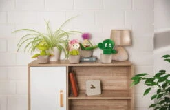 Nici 48942 Sedum Pflanze Amalia 18cm Plüschfigur Kuscheltier GREEN Funny Flowers -Nici 48941 11 Milieu 48942 48943 48944 Milieu me 3