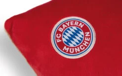 Nici 49080 Kissen FC BAYERN MÜNCHEN Bär Berni 43x25cm Plüsch FCB Dekokissen -Nici 49080 04 ZA weiss 792x492